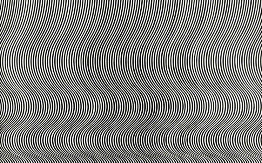 Riley, Bridget, b.1931; Fall